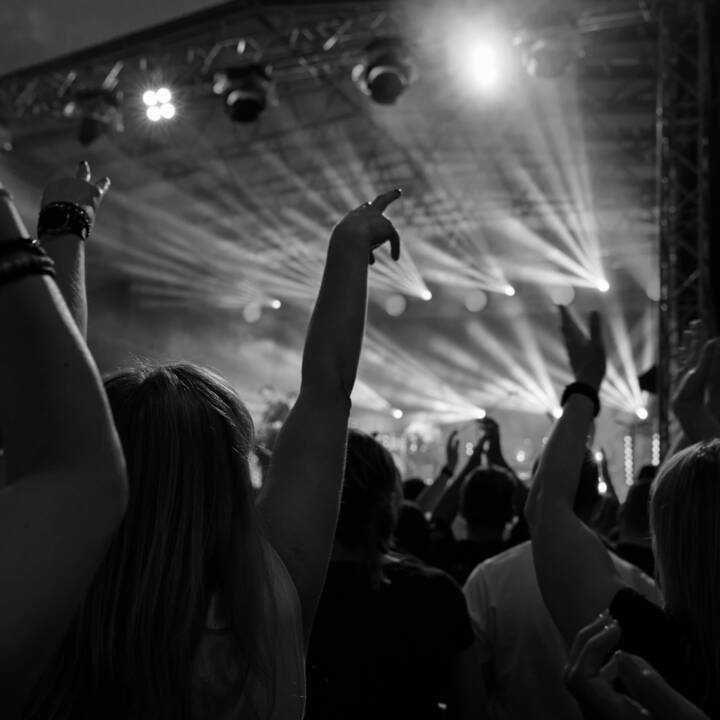 Konser ve festival